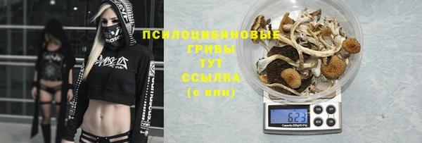 каннабис Краснотурьинск