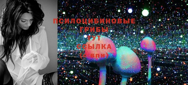первитин Туринск