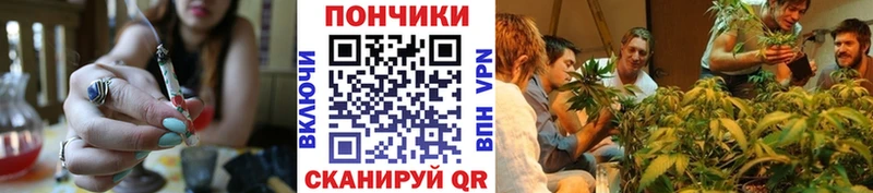 хочу   mega сайт  Каннабис сатива  Кяхта 